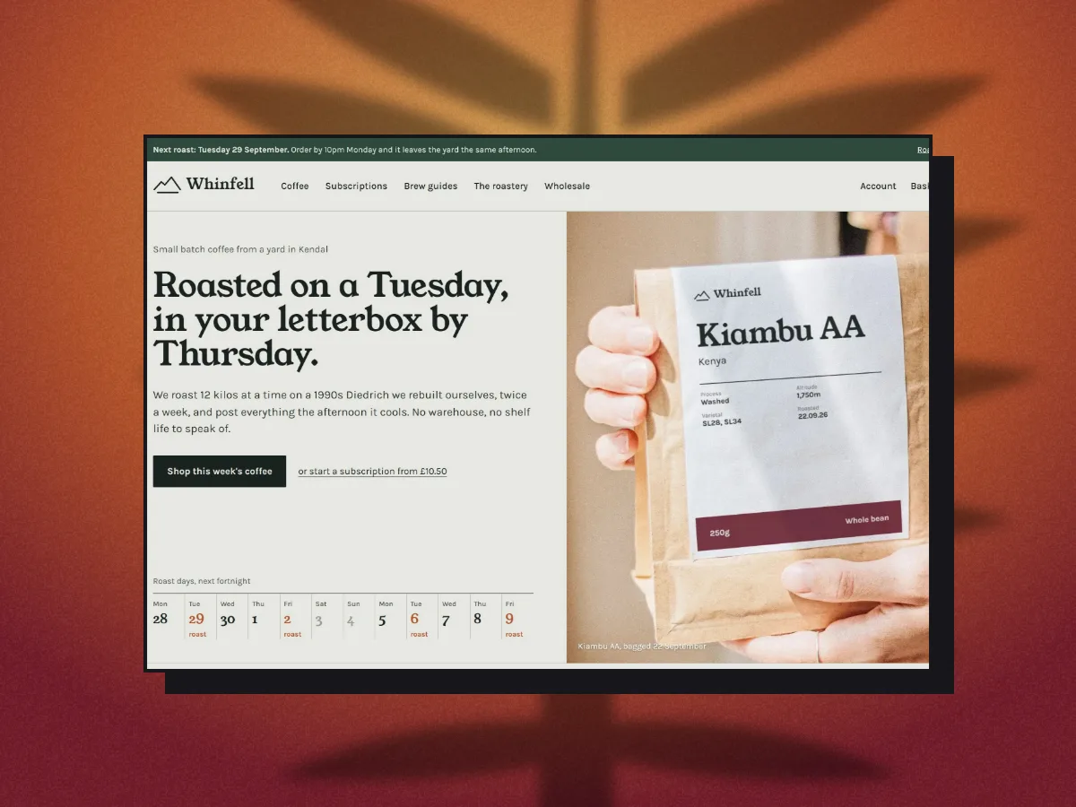 The retro-edged screenshot on rust orange paper with a palm leaf shadow cast on the paper behind it